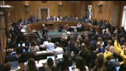 اخبار شامگاهی