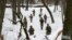 Members of Ukraine's Territorial Defense Forces, volunteer military units of the Armed Forces, train in Kyiv, Ukraine, Jan. 22, 2022. Dozens of civilians have been joining Ukraine's army reserves in recent weeks amid fears about Russian invasion.