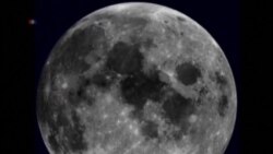 Ciclo lunar completo en video