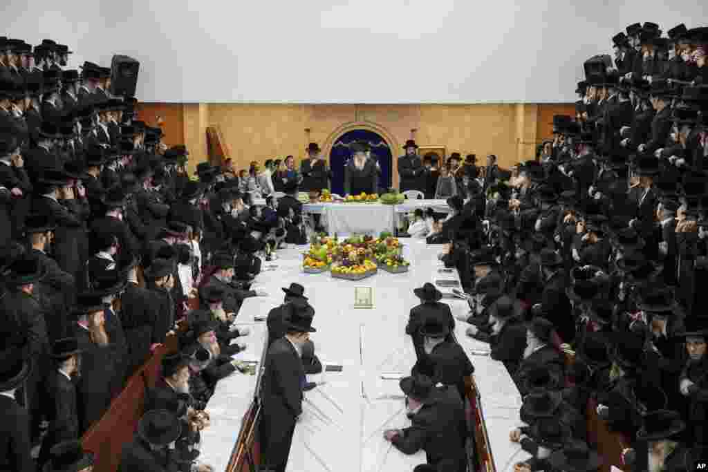 Ultra-Orthodox Jews of the Nadvorna Hasidic dynasty celebrate the Jewish feast of &#39;Tu Bishvat&#39; or &quot;New Year of the Trees&quot; in the ultra-Orthodox town of Bnei Brak, Israel.