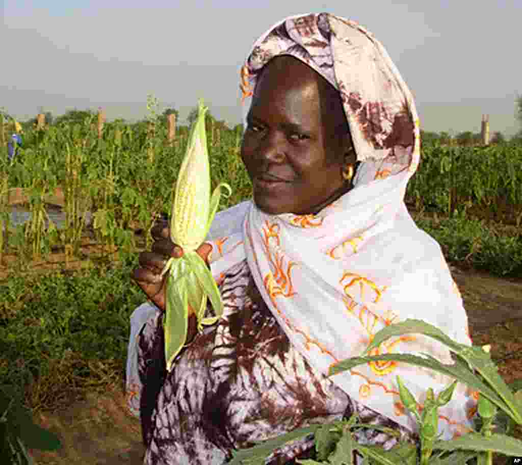 Mariema Niang stands in her garden at Wendou Bosseabe refugee camp, Senegal, October 26, 2011. (VOA - A. Fortier)
