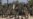 Boko Haram Claims Kidnapped Schoolgirls 'Married Off'