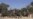 8 Killed in Nigeria ATM Bomb Blast