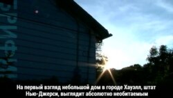 Дом, полный котят