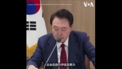 South Korean president calls for government-industry talks to prepare for Trump.mp4