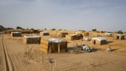 Une crise alimentaire menace les enfants entre le Niger et le Nigeria