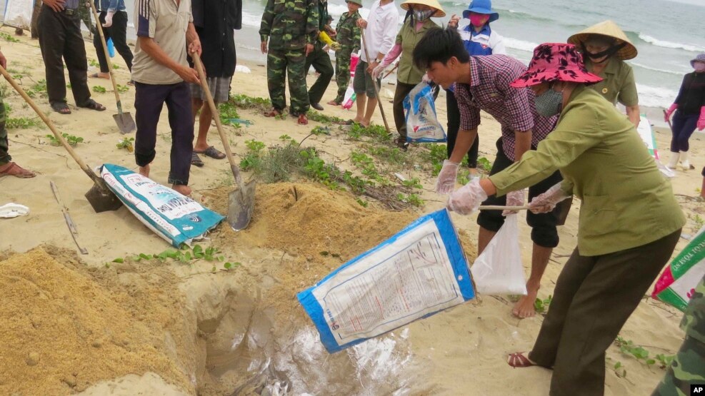 Tư liệu - Người dân tiêu hủy cá chết ở tỉnh Quảng Bình.
