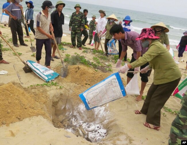 Người dân tiêu hủy cá ở Quảng Bình khi vùng biển này bị ô nhiễm nặng do chất thải độc hại từ nhà máy Formosa vào tháng 4/2016.