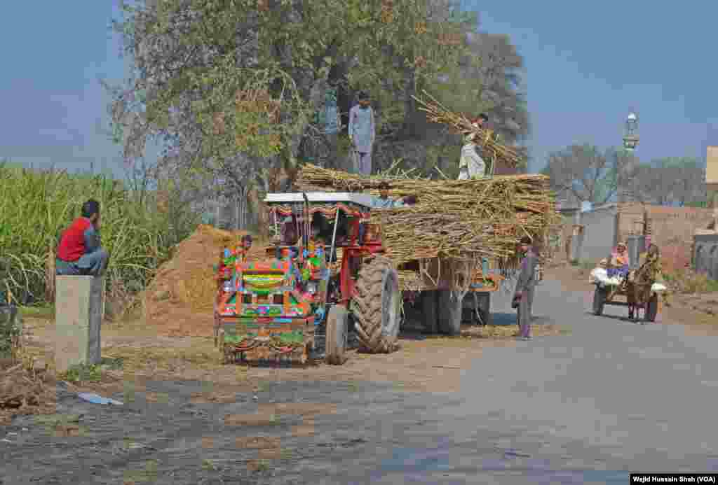 حکومت نے دیہی سڑکوں کی تعمیر و بحالی کے پروگرام کو آگے بڑھایا ہے تاکہ دیہات میں بسنے والی آبادی کو آمدورفت کی بہترین سہولیات میسر آ سکیں۔