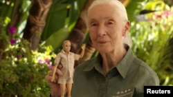 Primatologist Jane Goodall gets Barbie doll in her likeness. (Jane Goodall Institute/Handout via REUTERS)