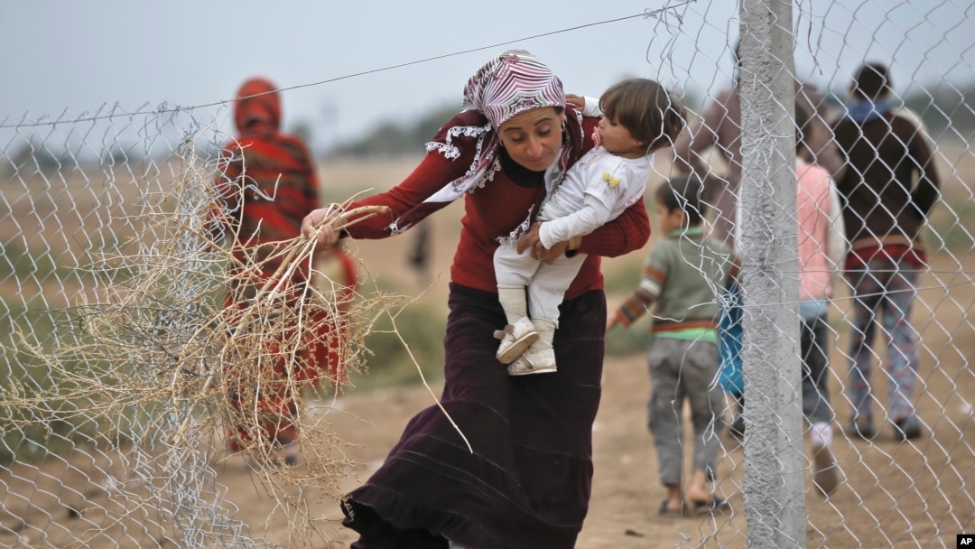 Một phụ nữ Syria đi thu gom cành khô để đốt lửa ở trại tị nạn gần biên giới với Thổ Nhĩ Kỳ. Số người Syria tị nạn được nhận vào Hoa Kỳ dự kiến lên tới 1.800 người tính đến cuối tháng 10.