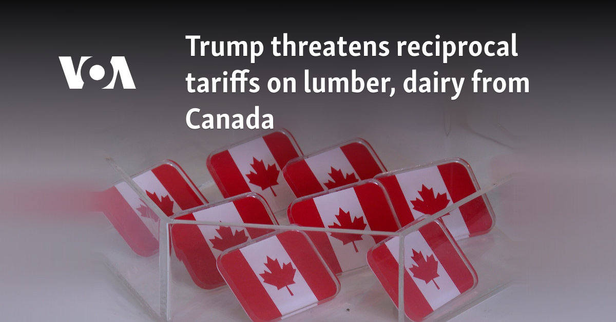 Trump threatens reciprocal tariffs on lumber, dairy from Canada