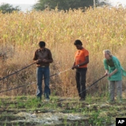 Sarah Huber works with farmers in India who are using the Driptech system.