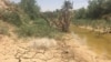 خشکسالی در ایران موجب خشک شدن رودخانه کرخه در استان خوزستان و بی آبی در هویزه شده است.