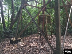 Scientists were using this tower in Uganda's Zika Forest to study yellow fever when they isolated the Zika virus in rhesus monkey blood in 1947. (J. Craig/VOA)
