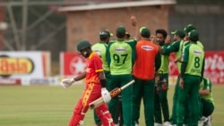 Zimbabwe Pakistan Cricket