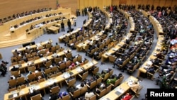 A general view shows the opening ceremony of the 22nd Ordinary Session of the African Union summit in Ethiopia's capital Addis Ababa, Jan. 30, 2014. 