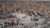 ရှေးဟောင်း Mosul ဗလီ အီရတ်တပ် ပြန်သိမ်း