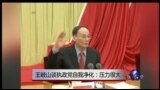 时事大家谈：王岐山谈执政党自我净化：压力很大