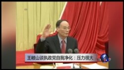 时事大家谈：王岐山谈执政党自我净化：压力很大