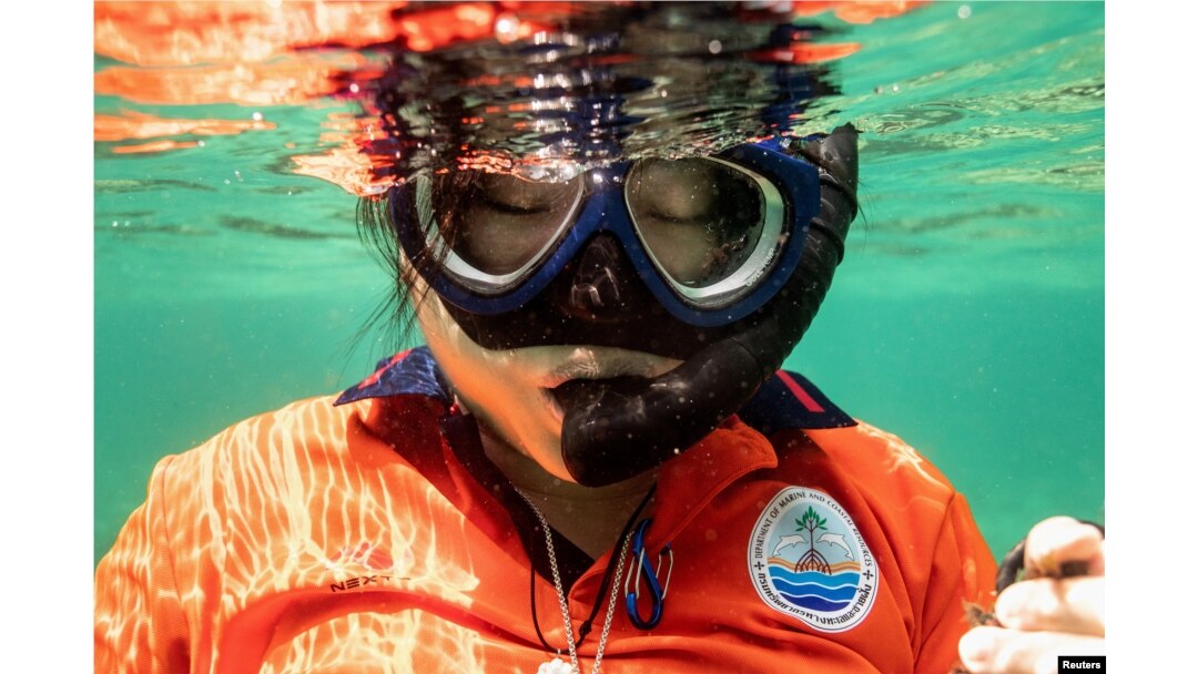 Metavee Chuangcharoendee, 27, from the Maya Shark Watch Project, and who is also a marine biologist with the Department of Marine and Coastal Resources of Thailand, pauses while snorkelling as she removes pieces of abandoned fishing nets from a coral reef in Maya Bay, at the Phi Phi Island National Park, on Phi Phi Leh Island, Krabi province, Thailand February 26, 2023.