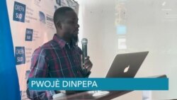 Dinepa Fè Yon Atelye Travay sou Distribisyon ak Asenisman Dlo Potab