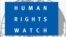 人权观察标识