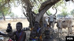 Warga Sudan selatan yang mengungsi akibat konflik antar suku, beristirahat di Pibor, negarabagian Jonglei (5/1).