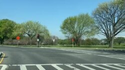 Clases de baile virtuales