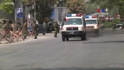 Թալիբանի հետ խաղաղության բանակցությունները կասեցված են