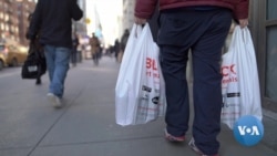VOA英语视频: 纽约2020年开始禁用皮草大衣和塑料袋