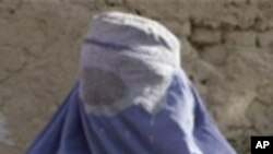 آموزش حرفه نخریسی برای زنان جوزجان