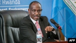 Rwanda’s Minister of Foreign Affairs Richard Sezibera speaks during a press conference in Kigali, March 5, 2019.