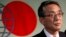 FILE - Japan's Nuclear Regulation Authority Chairman Shunichi Tanaka attends a news conference in Tokyo, September 2012.