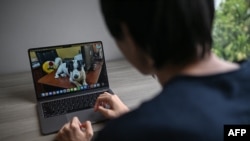This photo taken on May 25, 2024 shows film critic 'Ngwe Yan Thun' working on his laptop showing an image of his pet dog, in the northern Thai province of Chiang Mai.