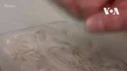 Еда из перьев