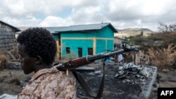 FILE: A member of the Afar Special Forces holds a gun next to a damaged house in the village of Bisober. Taken 12.9.2020