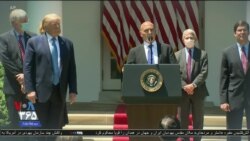 اخبار شامگاهی