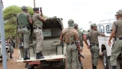 Udaba Esilethulelwe NguMartin Ngwenya