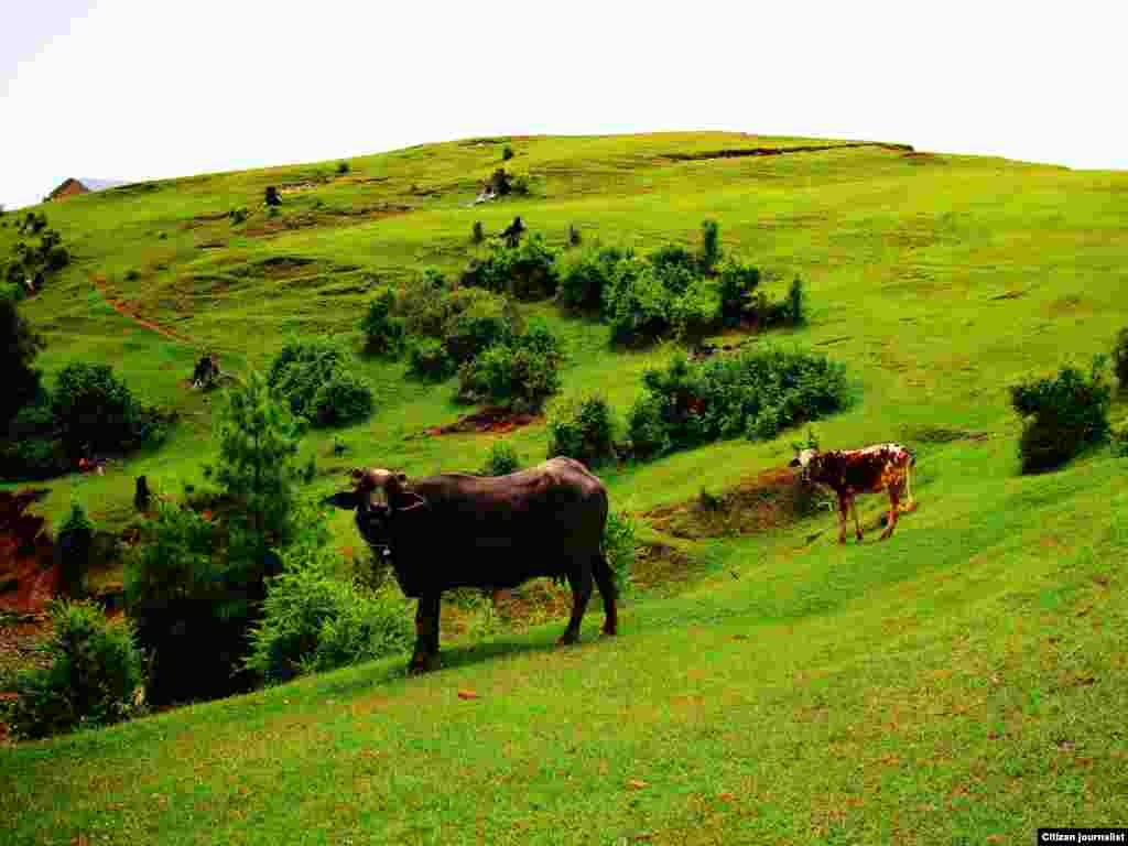 کشمیر کا ضلع سدھنوتی، خوبصورت وادیوں کے مناظر