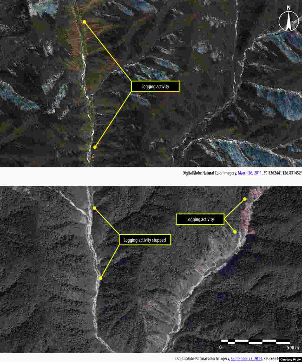 Aerial views of logging at Camp 15 in North Korea in 2011 and 2013. (Amnesty International/DigitalGlobe)