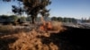 Sebuah ladang terbakar terlihat setelah warga Palestina di Gaza mengirim balon pembakar melintasi perbatasan antara Gaza dan Israel, Near Nir Am. (Foto: Reuters)