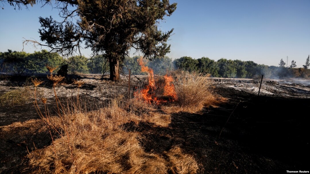 Sebuah ladang terbakar terlihat setelah warga Palestina di Gaza mengirim balon pembakar melintasi perbatasan antara Gaza dan Israel, Near Nir Am. (Foto: Reuters)