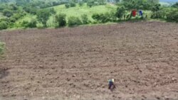 FAO apoya programas de desarrollo rural en Colombia