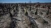 FILE: Makam orang-orang tak dikenal yang dibunuh oleh tentara Rusia selama pendudukan kota Bucha, di pemakaman kota Bucha, di luar Kyiv, Ukraina, 30 Maret 2023. (Gleb Garanich/REUTERS)