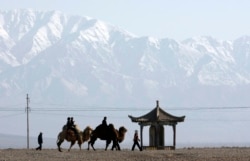 FILE - Visitors ride camels outside the Jiayuguan Pass Town in front of the snow-covered Qilian Mountains in Jiayuguan, northwest China's Gansu province April 28, 2007. REUTERS/Jason Lee