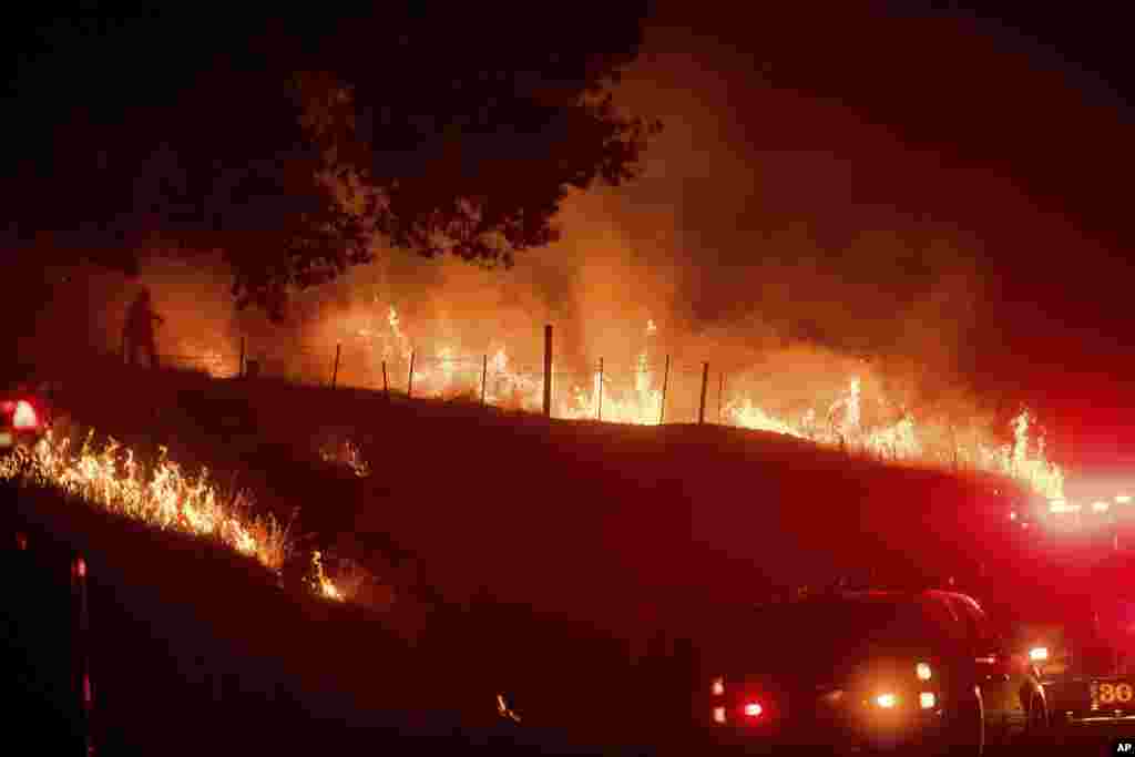 وقوع آتش سوزی مهیب در کالیفرنیا