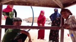 Penaberên Kampa Hol Rûbirûyê Gelek Nexweşîyan Dibin