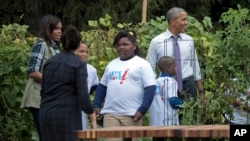 바락 오바마(오른쪽) 미국 대통령과 영부인 미셸(왼쪽) 여사가 6일 어린이들과 함께 백악관 텃밭 수확행사에 참가하고 있다. 