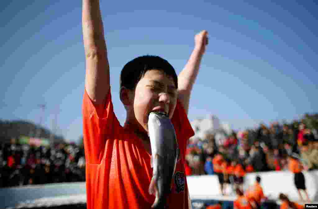 Seorang anak laki-laki bersorak setelah berhasil menangkap ikan trout dan menggigitnya pada acara Festival Es di Hwacheon, Korea Selatan.